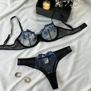 Adult Sexy Lingerie Lace Transparent Women Underwear Fairy Embroidery Brief Set Delicate Bra Kit Push Up Breves Sets Erotic Bras